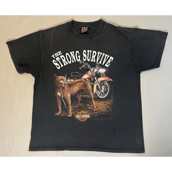 3D Emblem Other - Vntge Harley Davidson T Shirt 3D Emblem Pit bull Strong Survive Niagara Falls  L